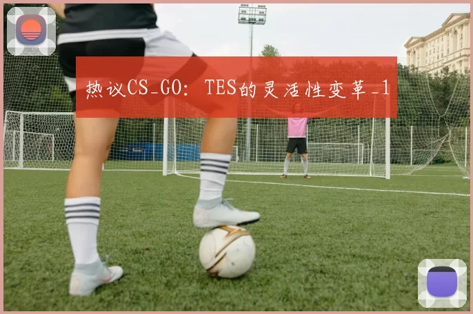 热议CS_GO：TES的灵活性变革_1