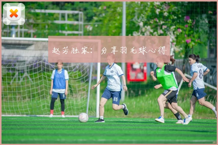 赵芳独家：分享羽毛球心得