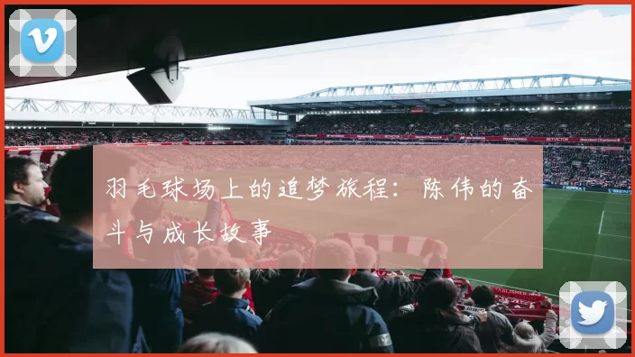 羽毛球场上的追梦旅程：陈伟的奋斗与成长故事