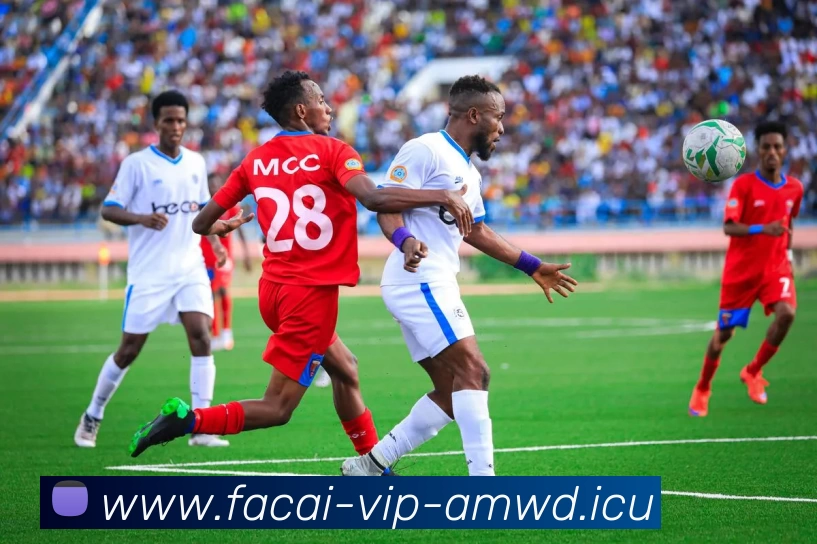 乐鱼体育品牌故事