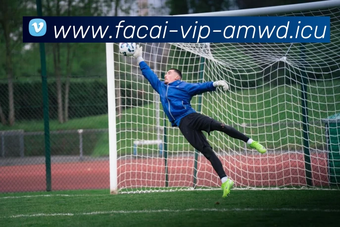 乐鱼体育服务体系